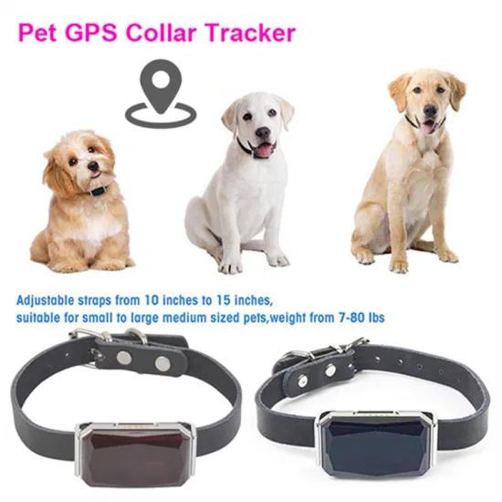 Novo lançado na China fábrica resistência à água bateria de longa duração 2G GPS Tracker gadget para animais de estimação cães gatos filhotes Y31